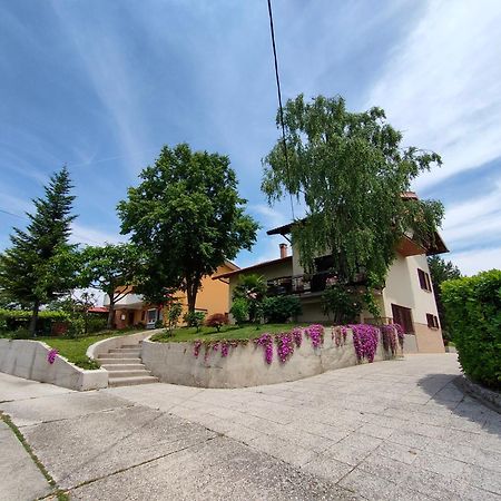 Apartma Breza Kojsko エクステリア 写真